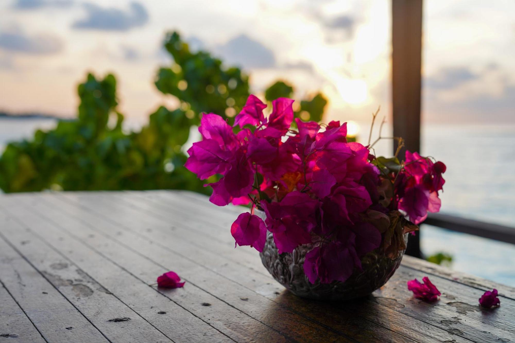 Sun & Surf Hotel Thulusdhoo ภายนอก รูปภาพ